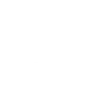 Engineered-Wood-Installation